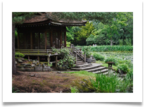 The Shinto Temple, Tatton Park_01 - June Bannister